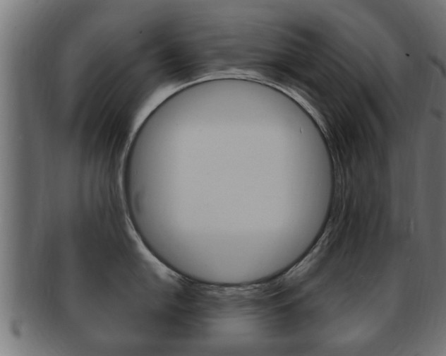 X0000092331054200709141114