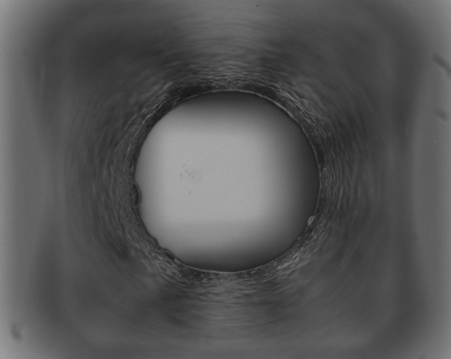 X0000092331057200709141113