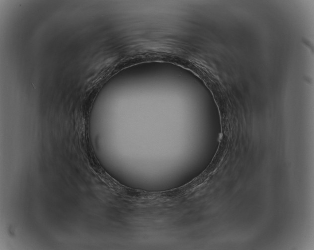 X0000092331061200709141113