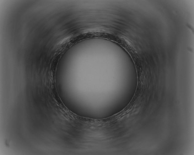 X0000092331062200709141113