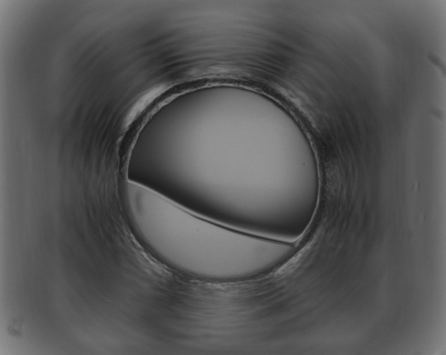 X0000092331066200709141113