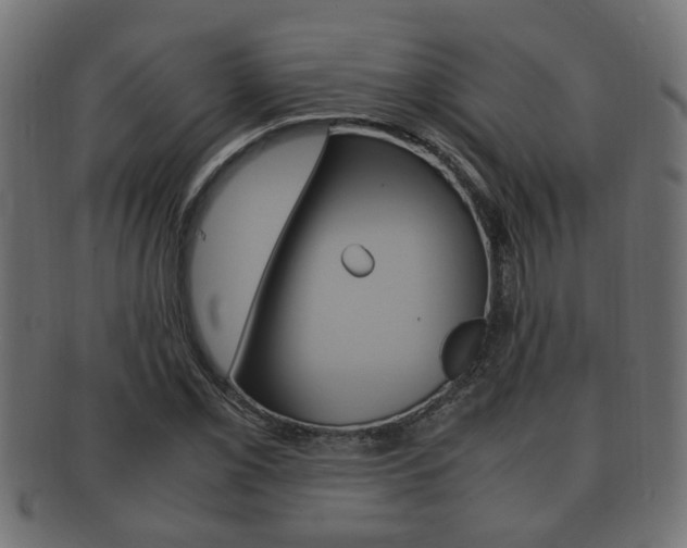 X0000092331069200709141113