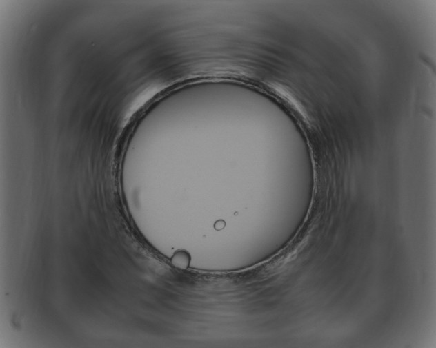 X0000092331071200709141113