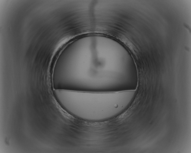 X0000092331072200709141113