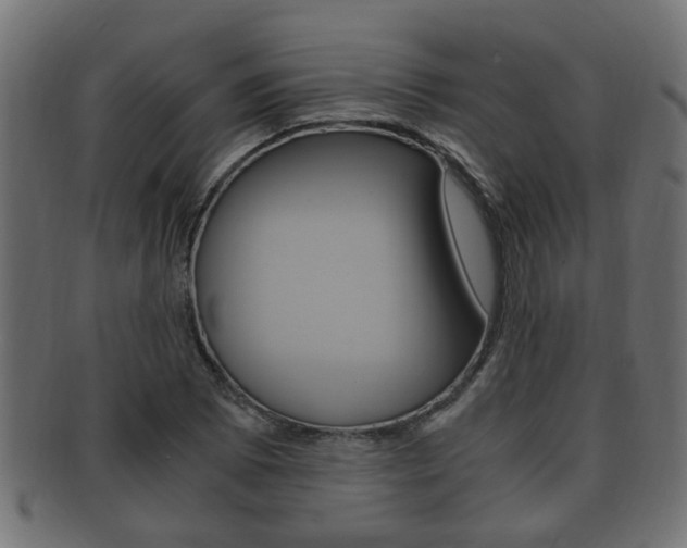 X0000092331073200709141113