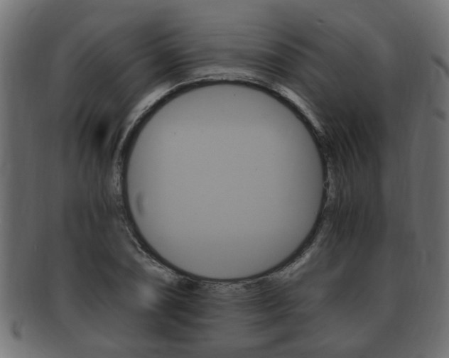 X0000092331074200709141113