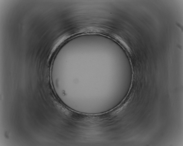 X0000092331075200709141113