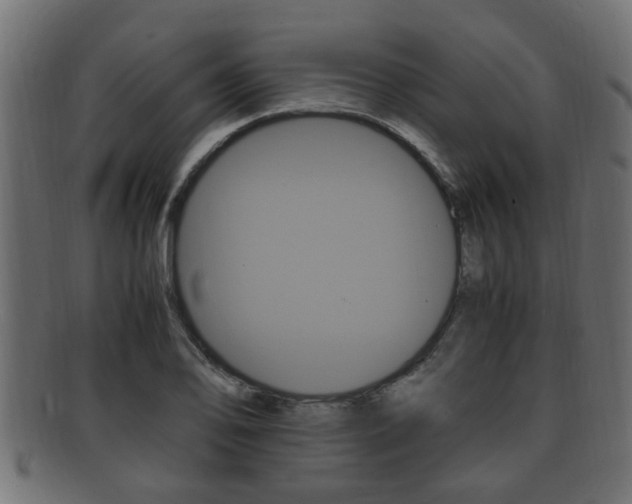 X0000092331078200709141113
