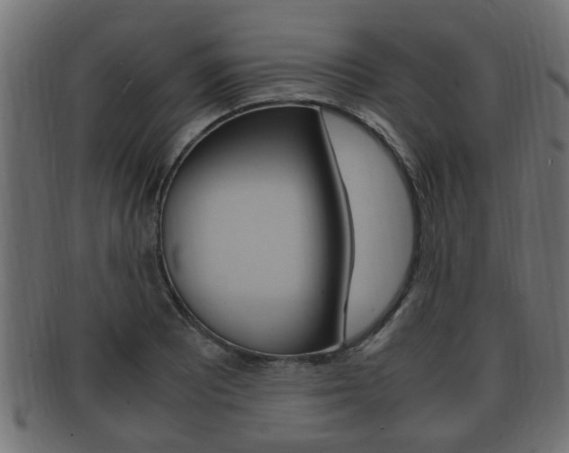X0000092331081200709141113