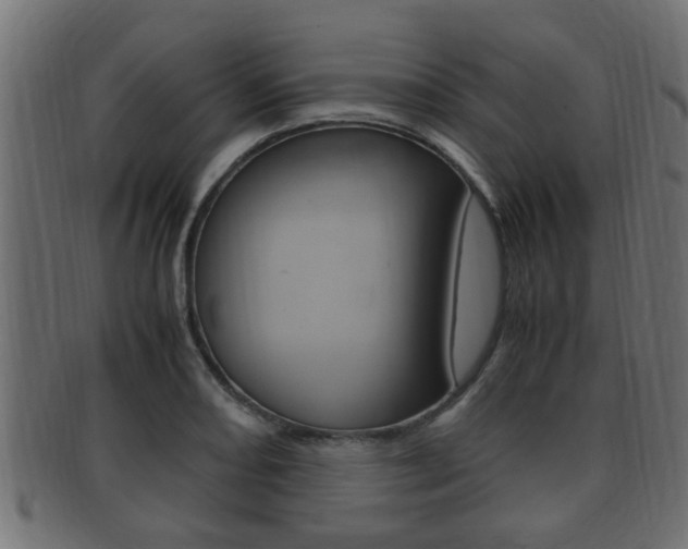 X0000092331082200709141113