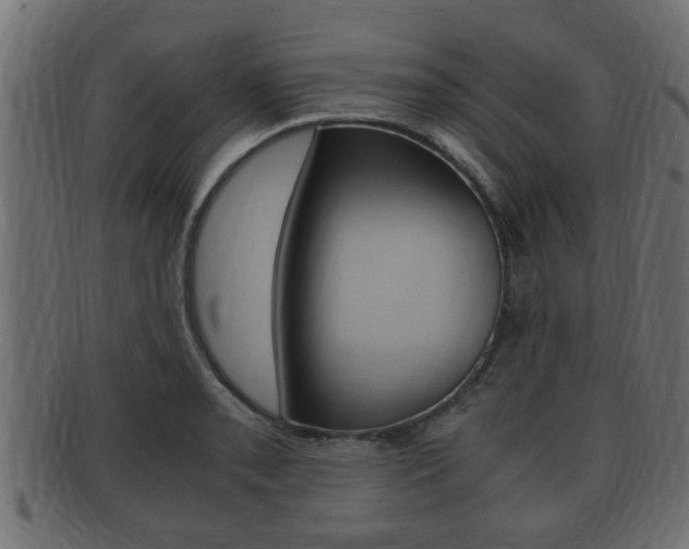 X0000092331085200709141113