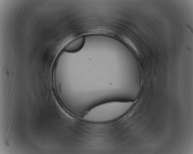 X0000092331087200709141113