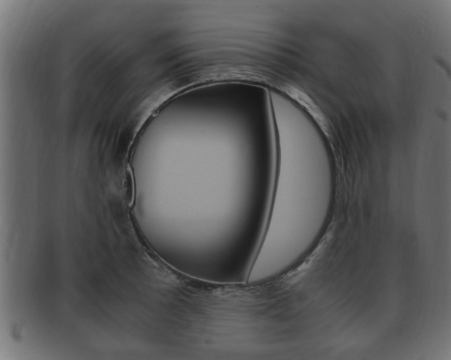 X0000092331089200709141113