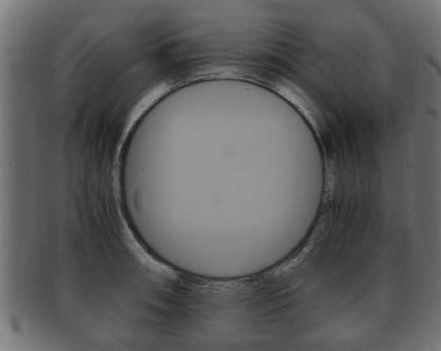 X0000092331090200709141113