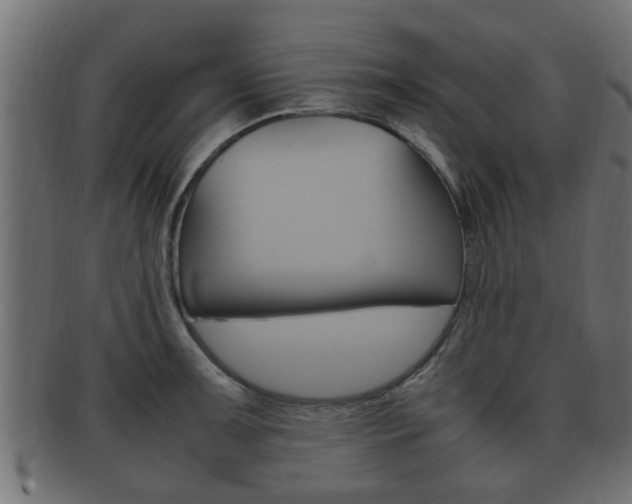 X0000092331091200709141112