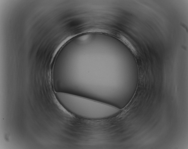 X0000092331092200709141112