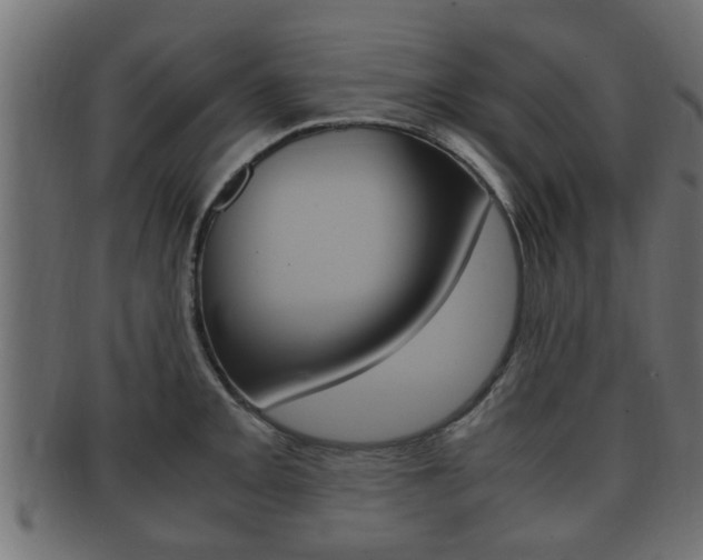 X0000092331093200709141112