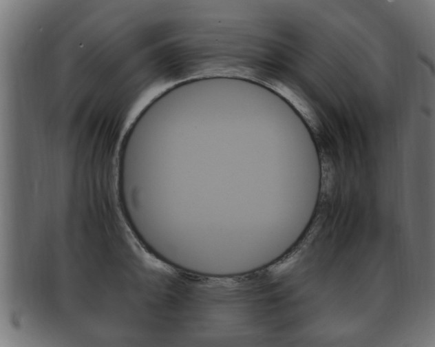 X0000092331094200709141112