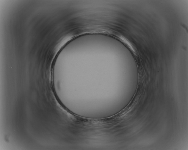 X0000092331095200709141112