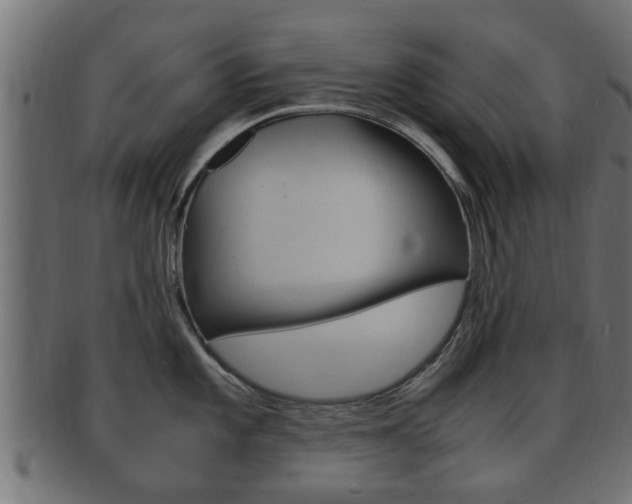 X0000092331101200709141112