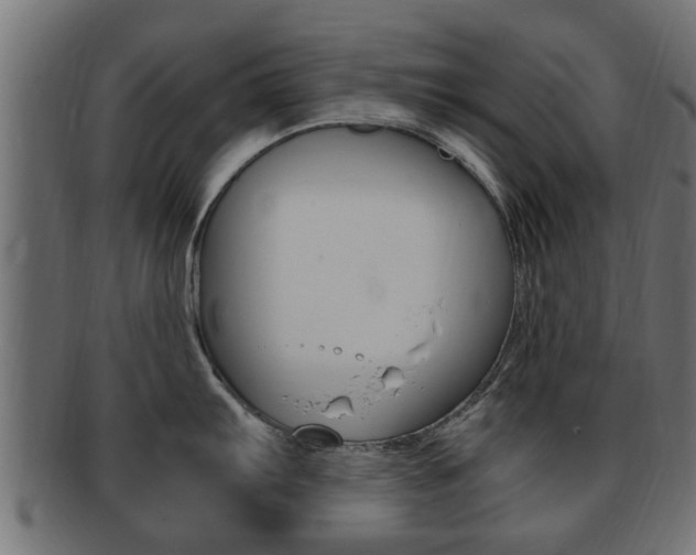 X0000092331103200709141112