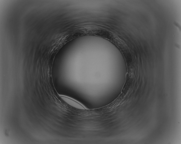 X0000092331108200709141112