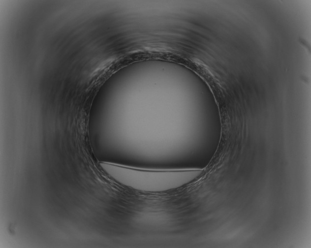 X0000092331110200709141112