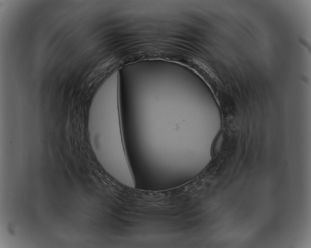 X0000092331111200709141112