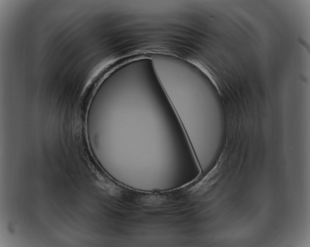 X0000092331115200709141112