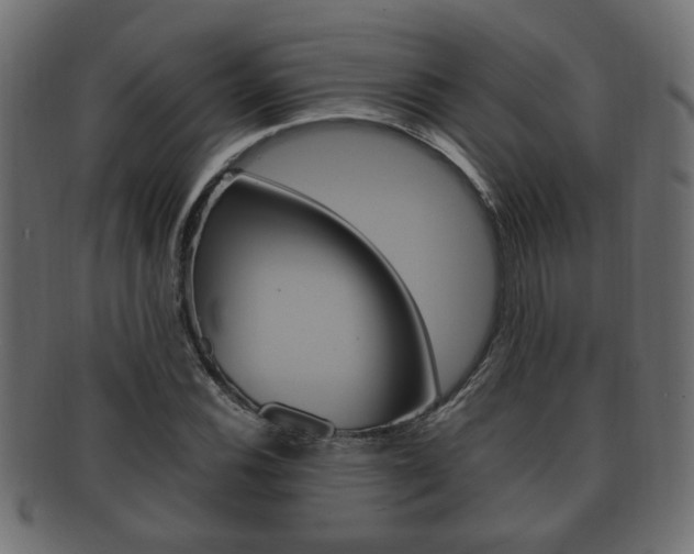 X0000092331116200709141112
