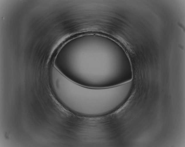 X0000092331118200709141112