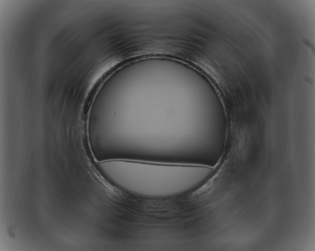 X0000092331119200709141112