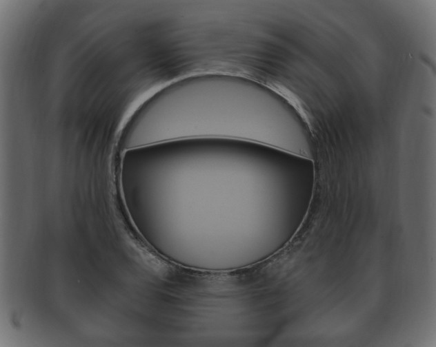 X0000092331120200709141112
