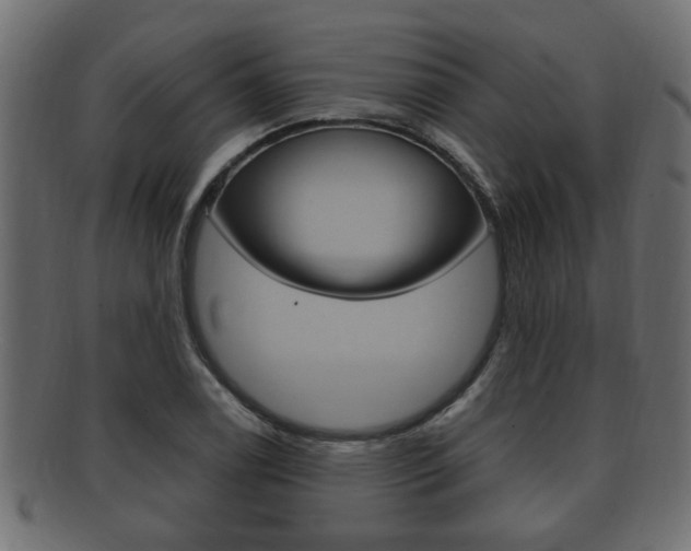 X0000092331122200709141112