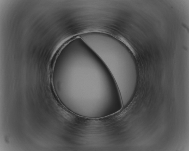 X0000092331124200709141112