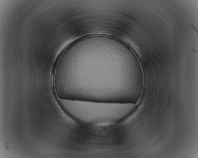 X0000092331125200709141112