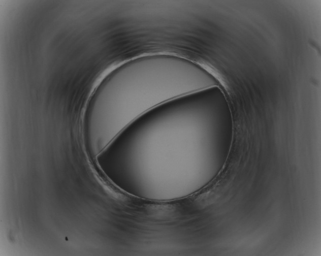 X0000092331127200709141112
