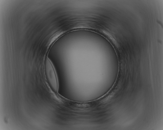 X0000092331129200709141112