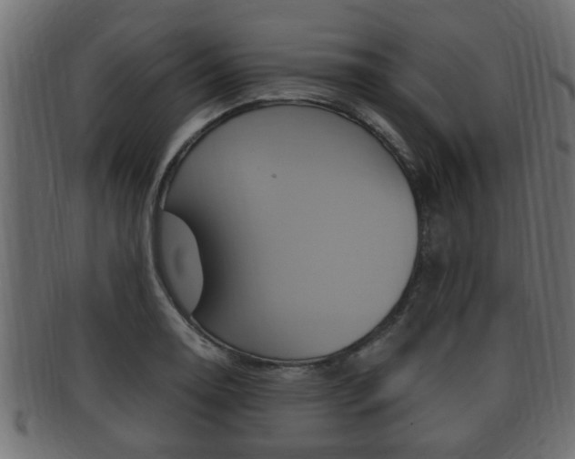 X0000092331130200709141112