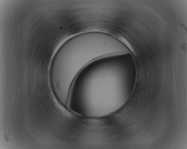 X0000092331132200709141112