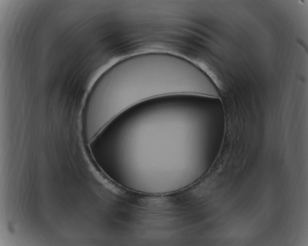 X0000092331134200709141112