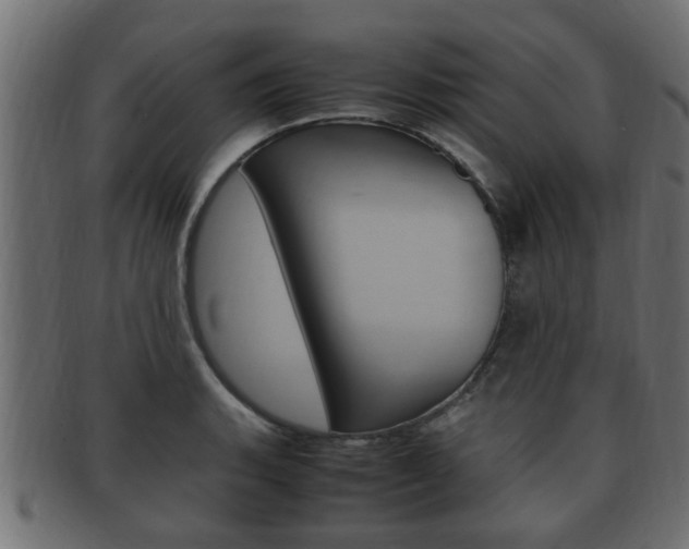 X0000092331135200709141112