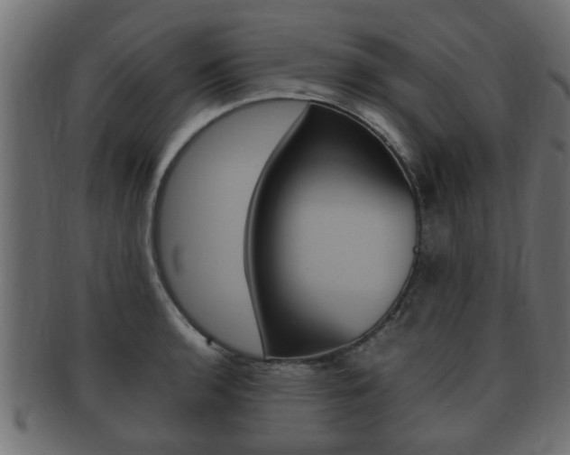 X0000092331136200709141112