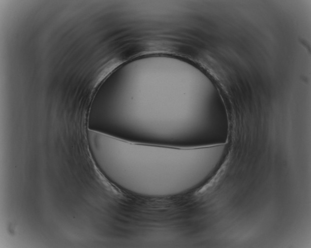 X0000092331137200709141112