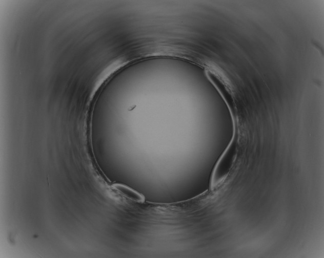 X0000092331138200709141112