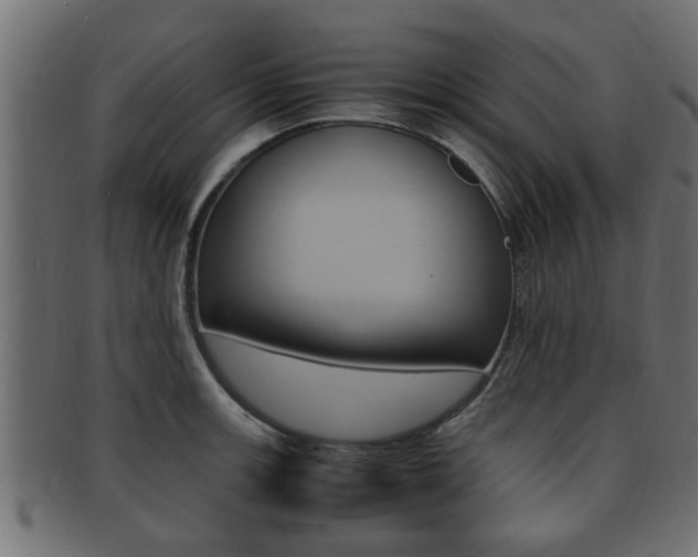 X0000092331139200709141112