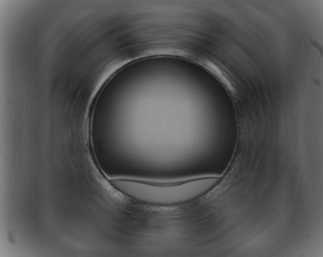 X0000092331140200709141112