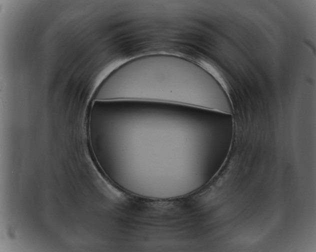 X0000092331141200709141112