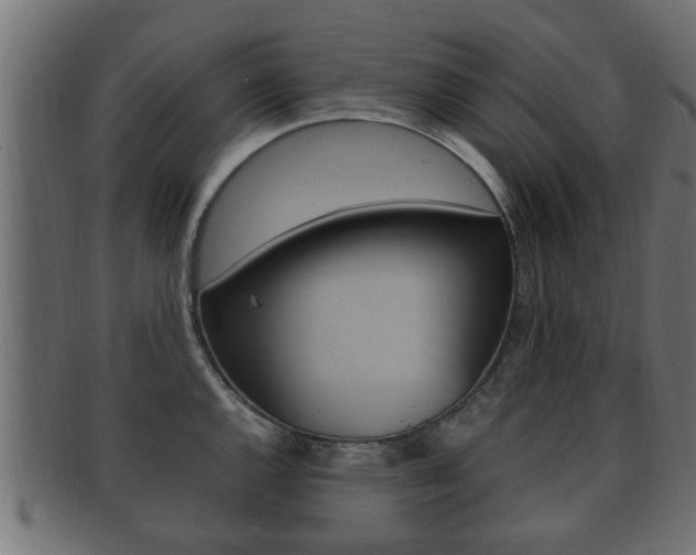 X0000092331144200709141112