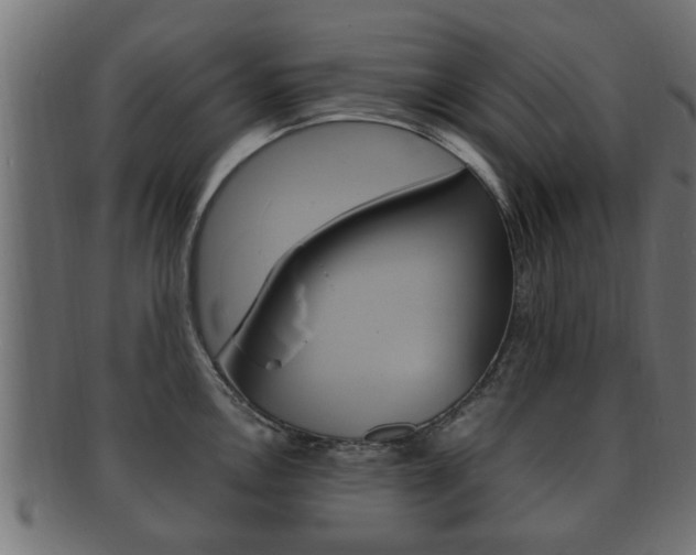 X0000092331146200709141112